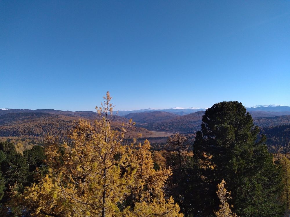 Photograph by СТЕПАН ДЖУЛАКИДЗЕ