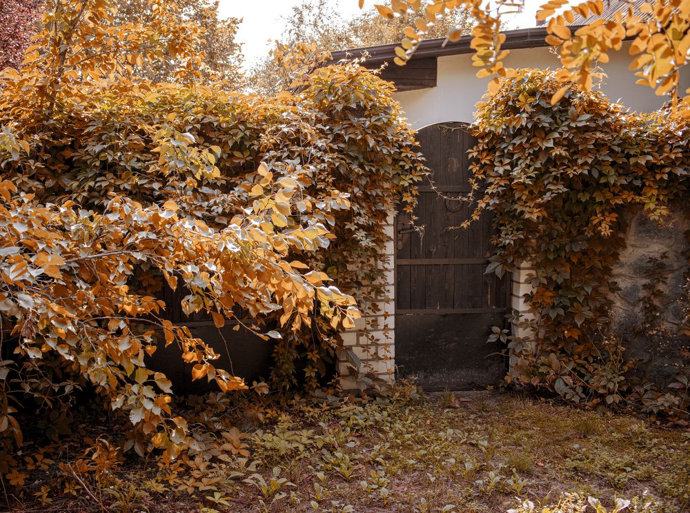 Photograph by Сергей Пупков