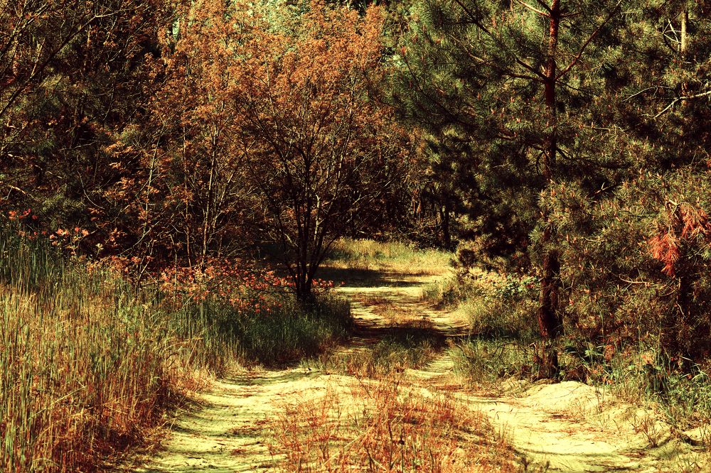 Photograph by Сергей Пупков