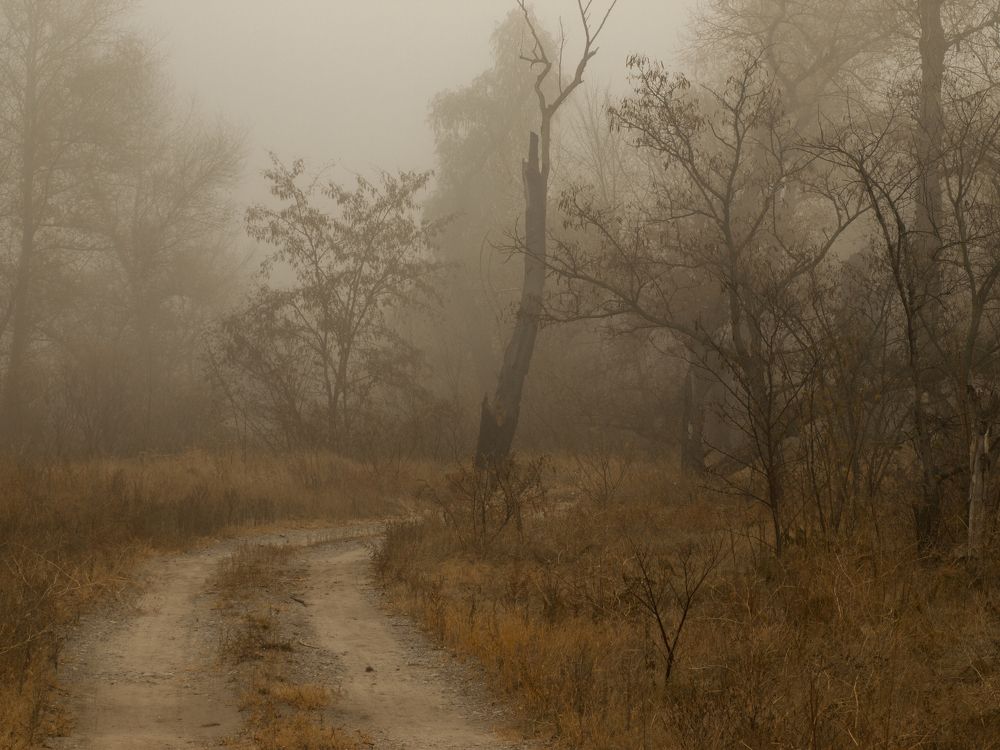 Photograph by Сергей Пупков