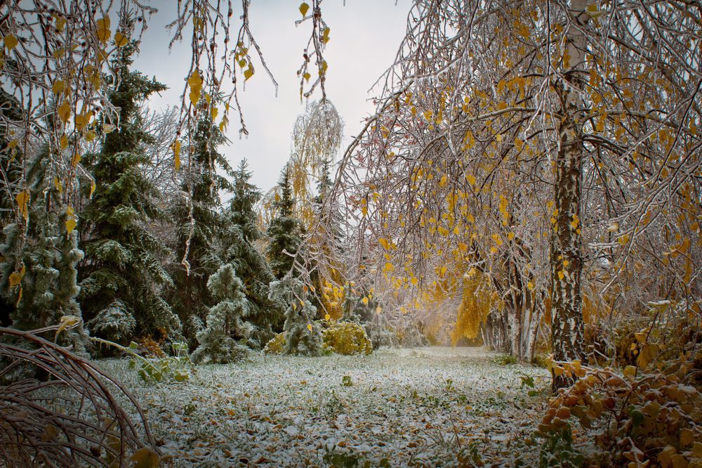 Photograph by Олеся Кучерова