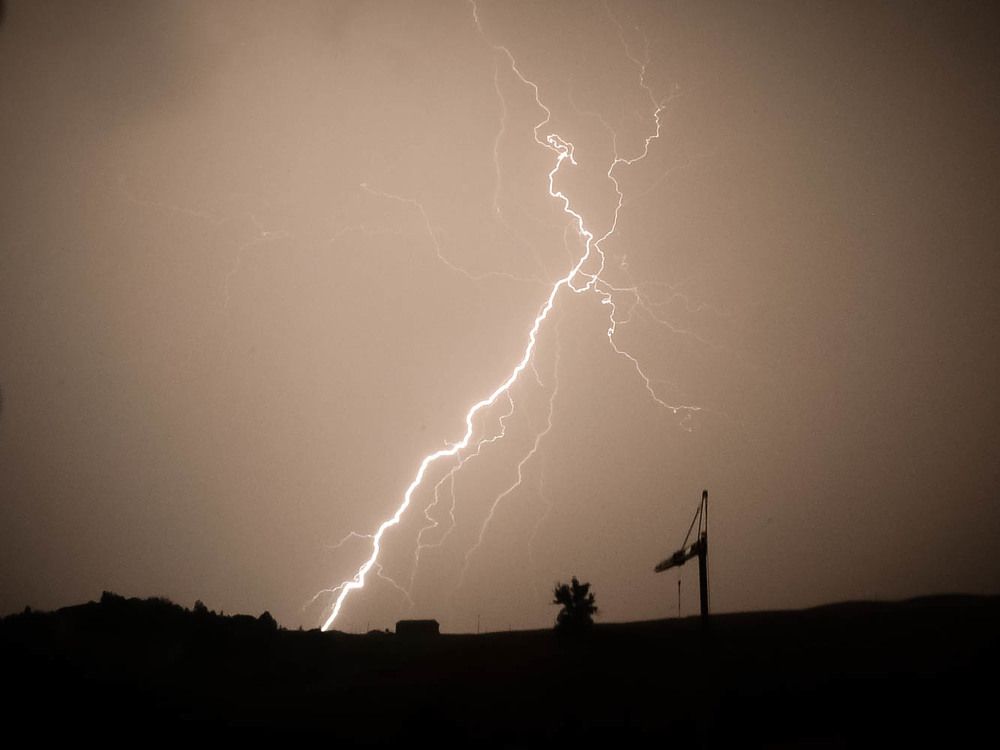 Photo #6543296