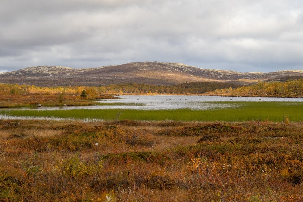 Photograph by Светлана Лебедева