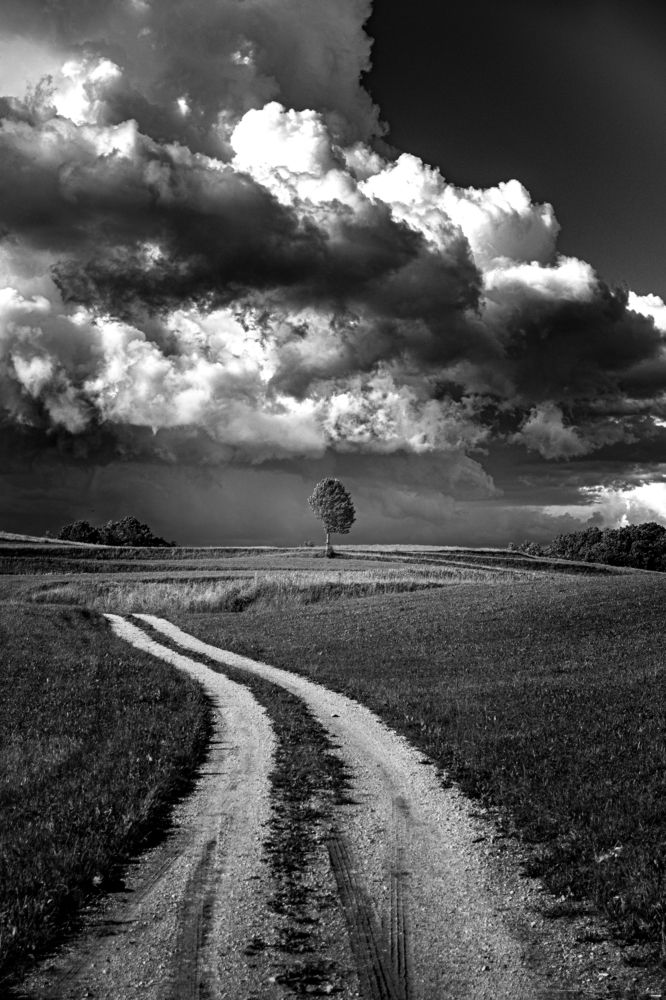 Photograph by Uroš Novina