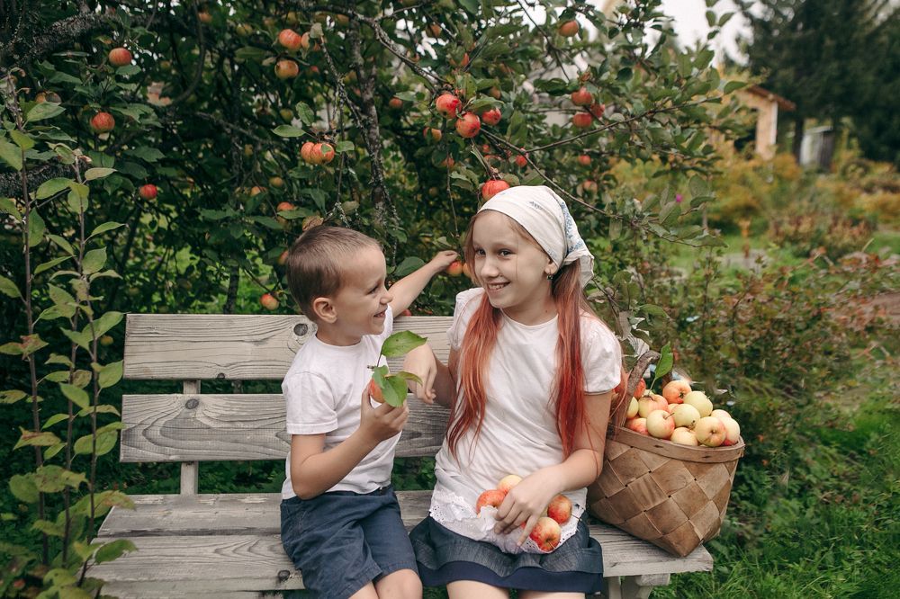 Photograph by Маховская Элина