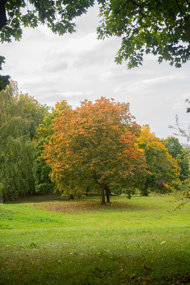 Photograph by Вадим Зюков