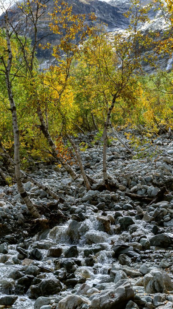 Photograph by Виталий Павлов