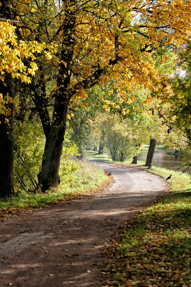 Фотография автора Ирина Гентош