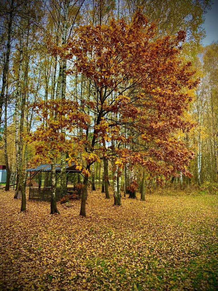 Photograph by Николай Курочкин