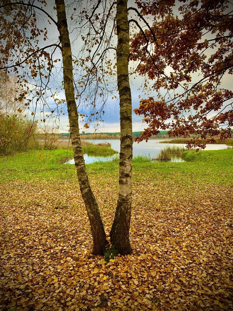 Photograph by Николай Курочкин