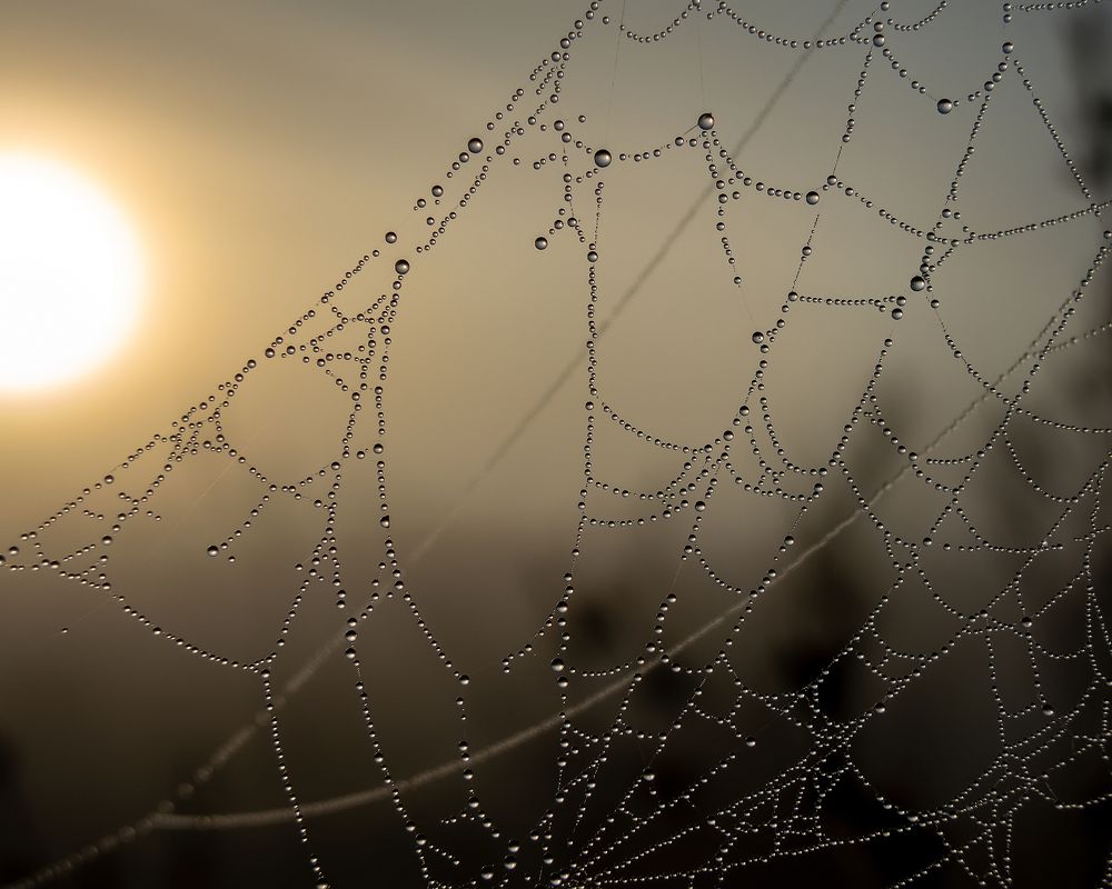 Photograph by Виталий Павлов