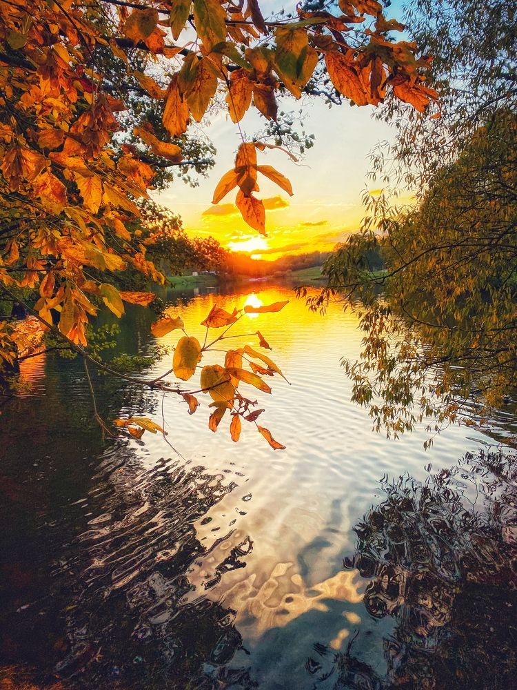 Photograph by Яна Лугинина