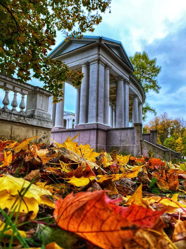 Photograph by Яна Лугинина