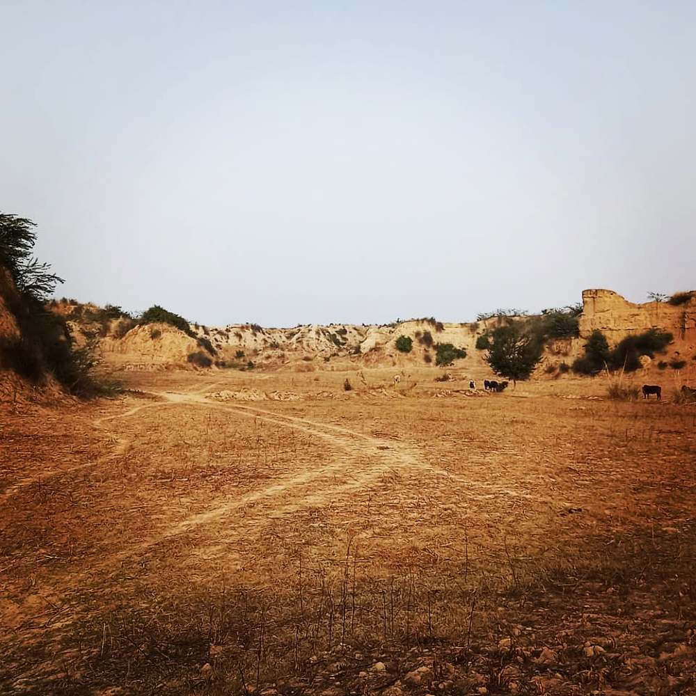 Photograph by Deepak Singh