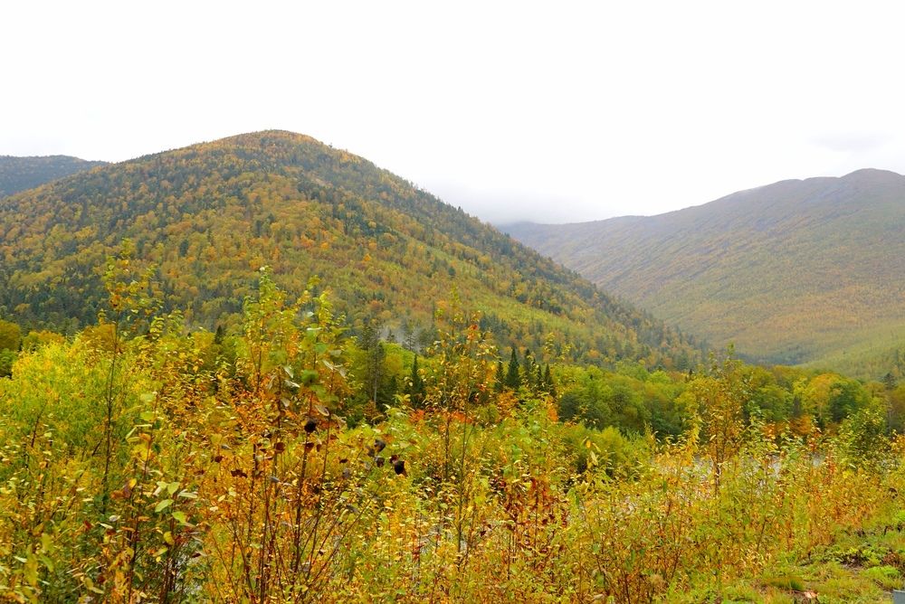 Photograph by Анна Брылева