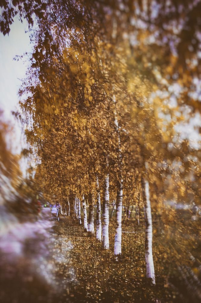 Photograph by Лилия Кондратьева