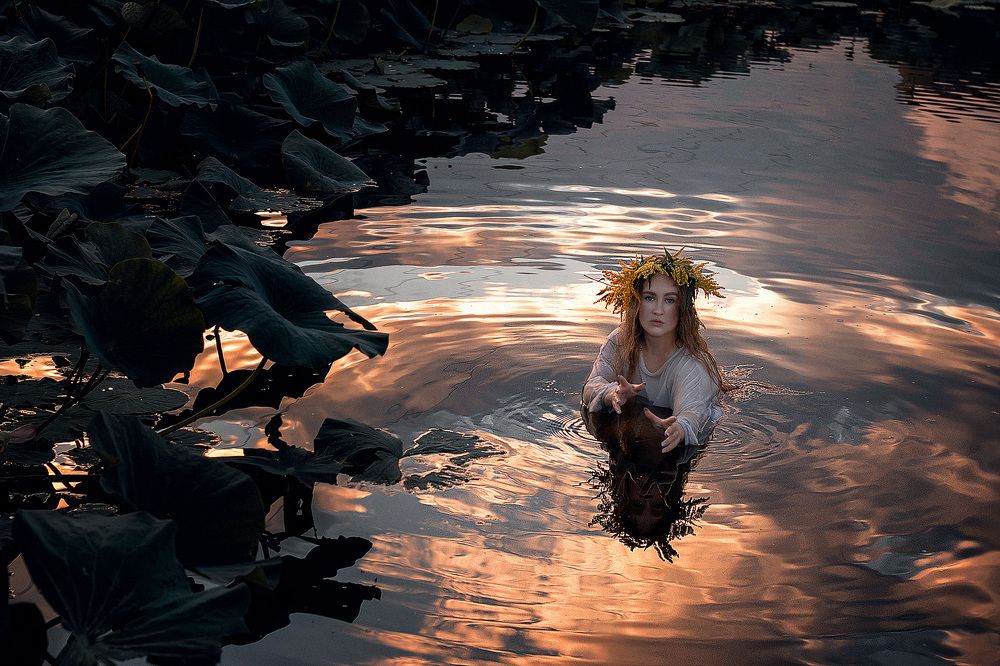 Фотография автора Елена Янченко