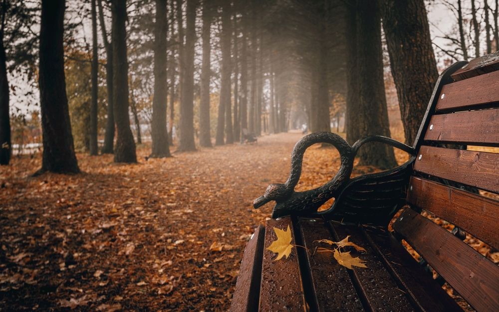 Фотография автора Михаил Назаров