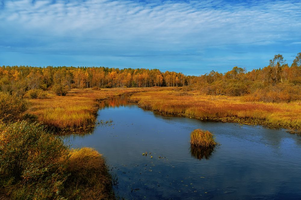 Photograph by Сергей Лазарев
