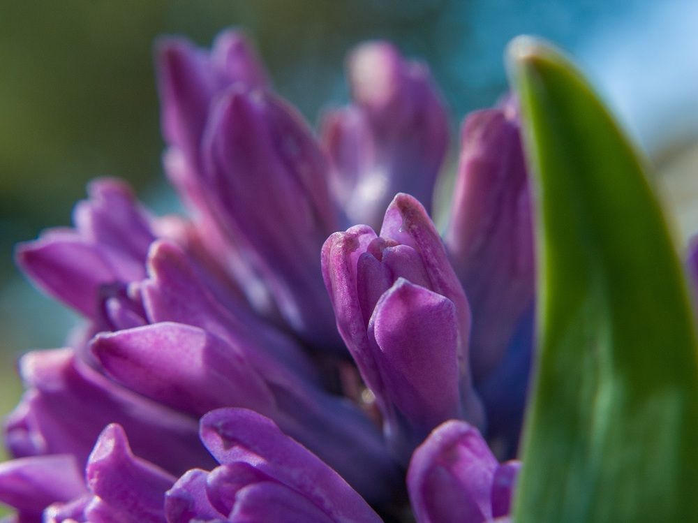 Photograph by Isidora Nikolić