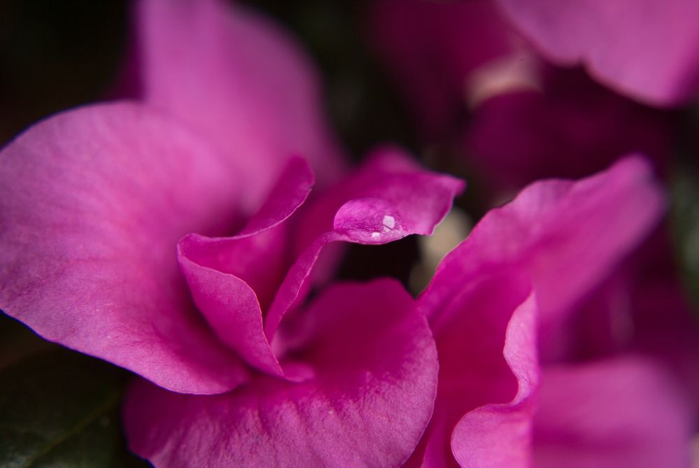 Photograph by Isidora Nikolić