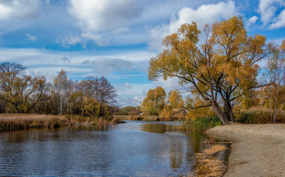 Photograph by Александр Селезнев