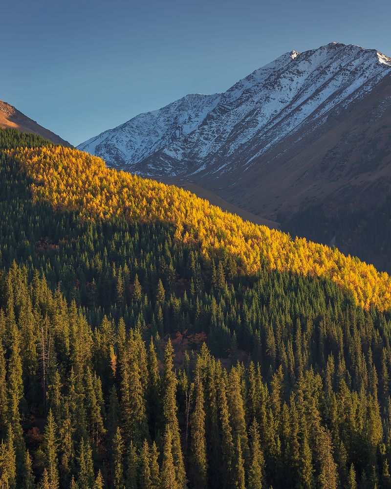 Photograph by Gennadii Zakirov