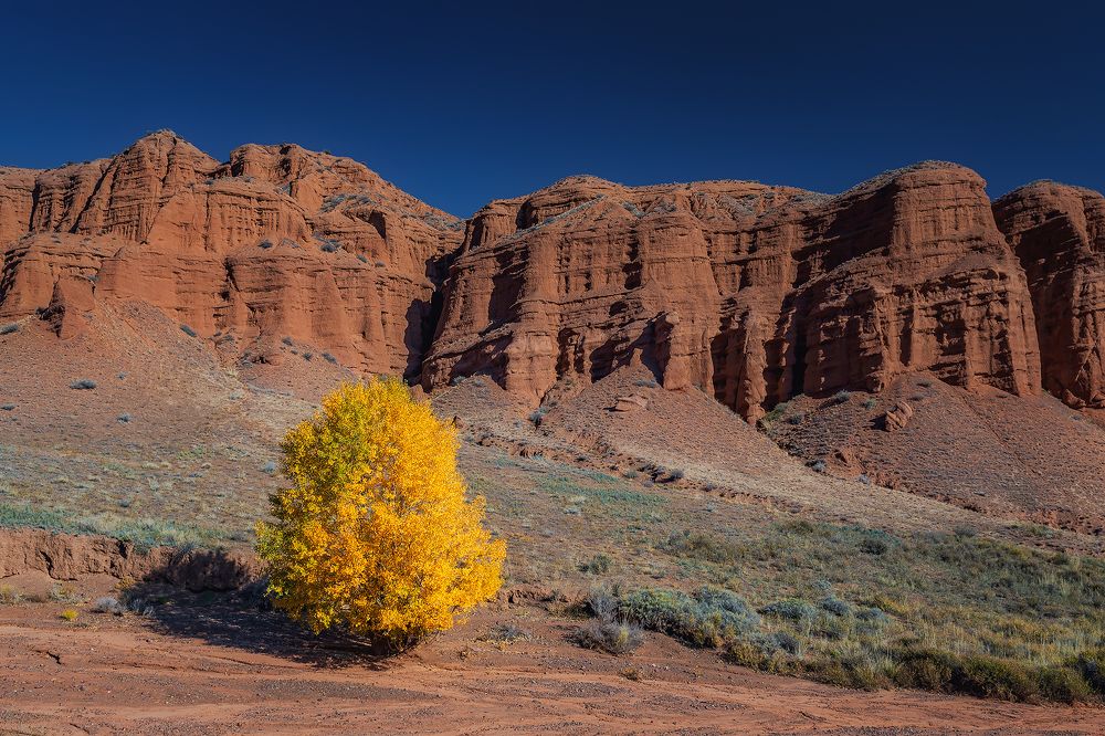 Photograph by Gennadii Zakirov