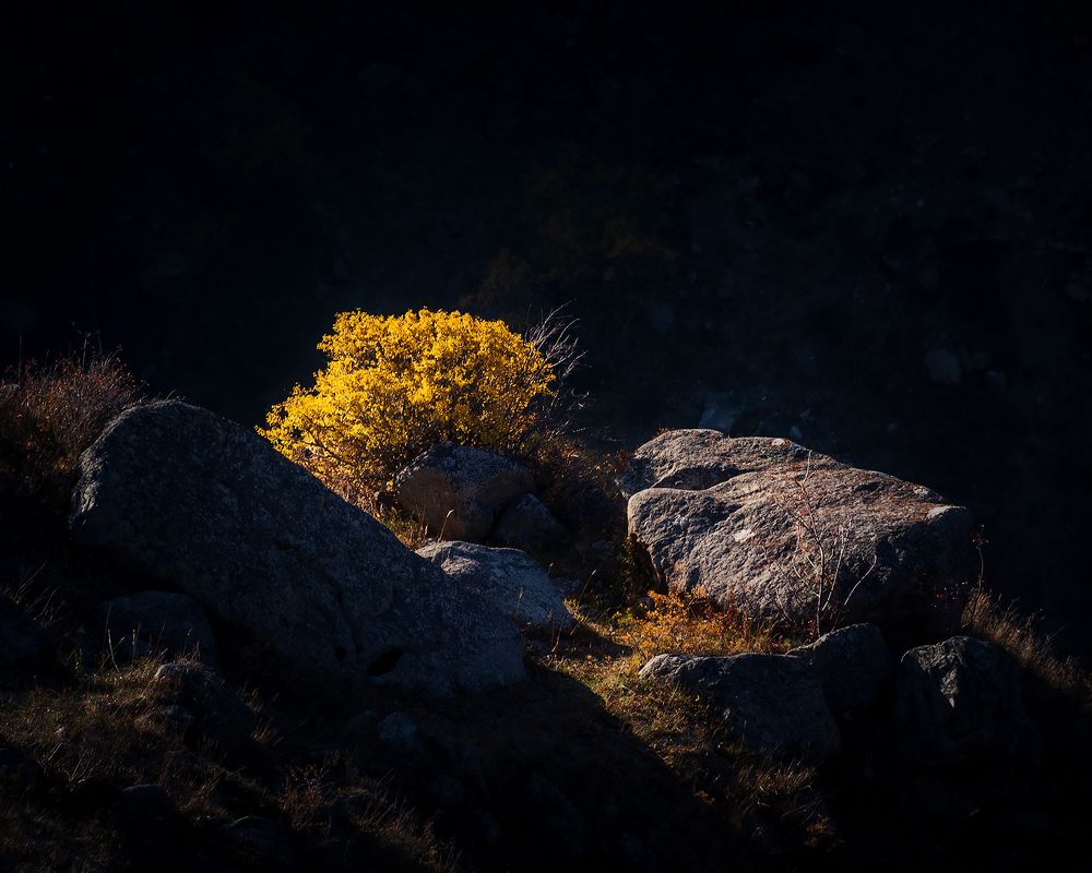 Photograph by Gennadii Zakirov