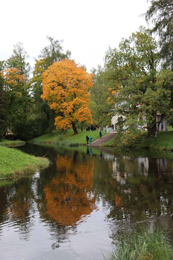 Отражённое полыхновение.
