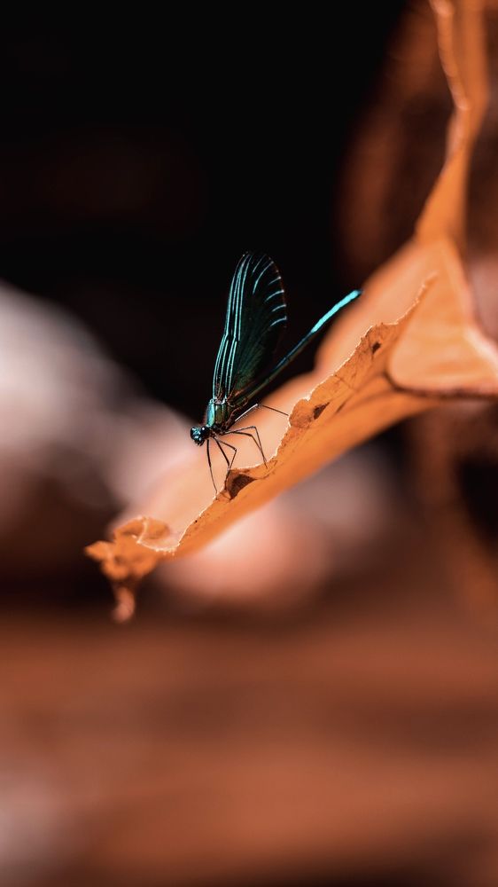 Photograph by Ilya Ozherelev