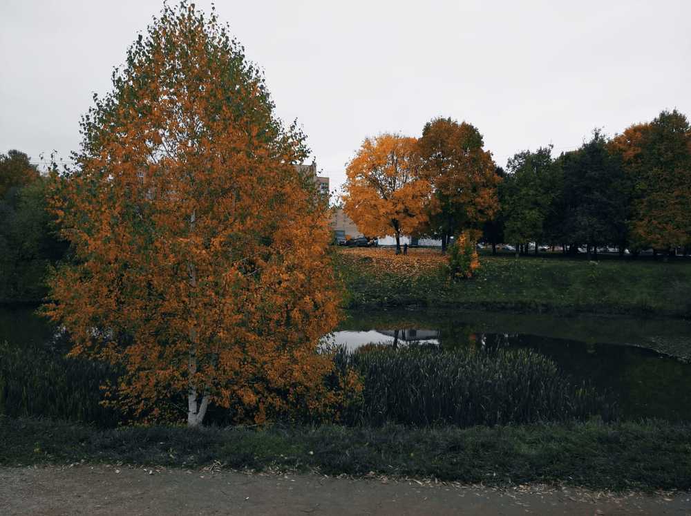 Фотография автора Александра Осипова