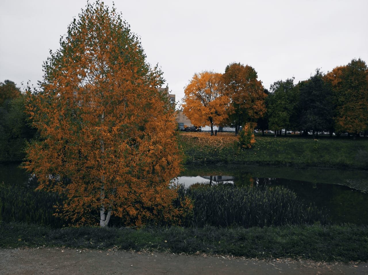 Photo #6543724