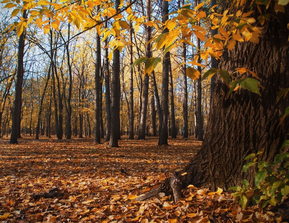 Photograph by Шаромов Иван