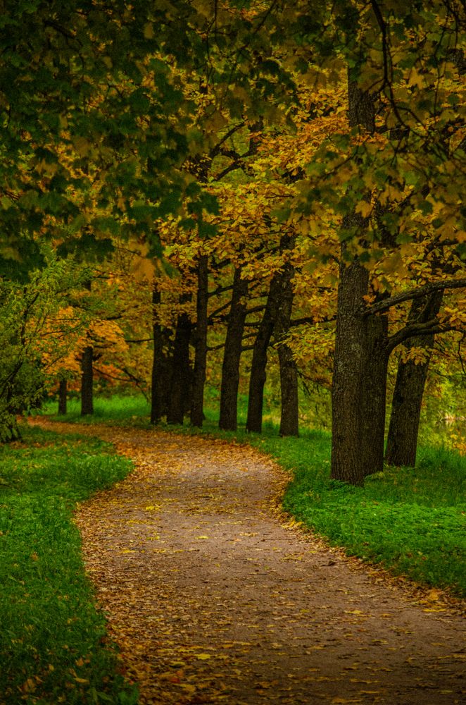 Photograph by Влад Макеев