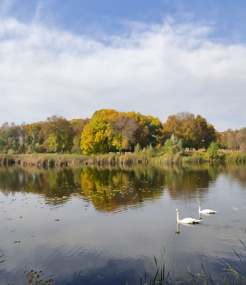 Photograph by Полина Трашко