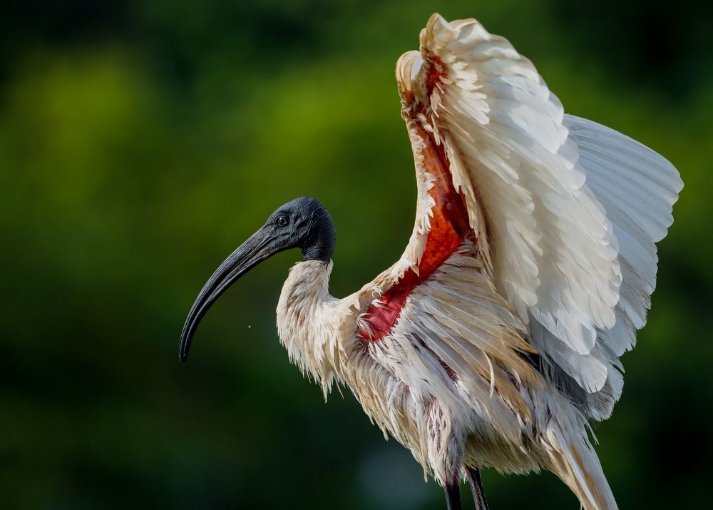 Photograph by Gimantha Perera