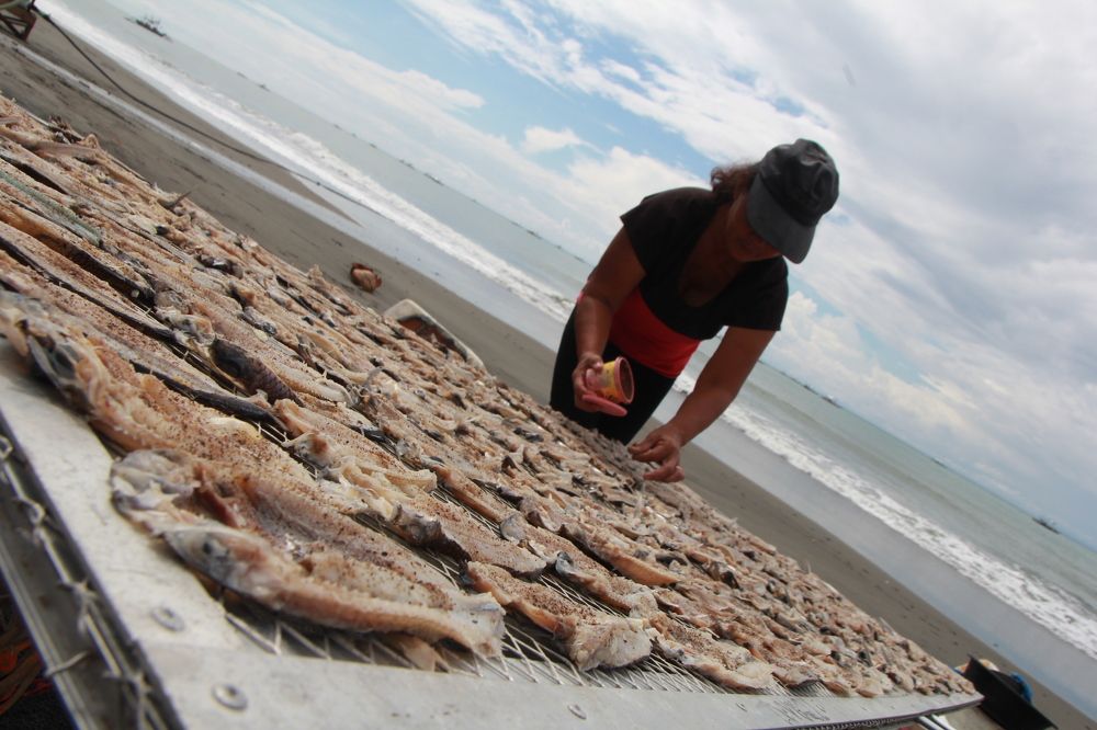 Photograph by Eliseo III Besana