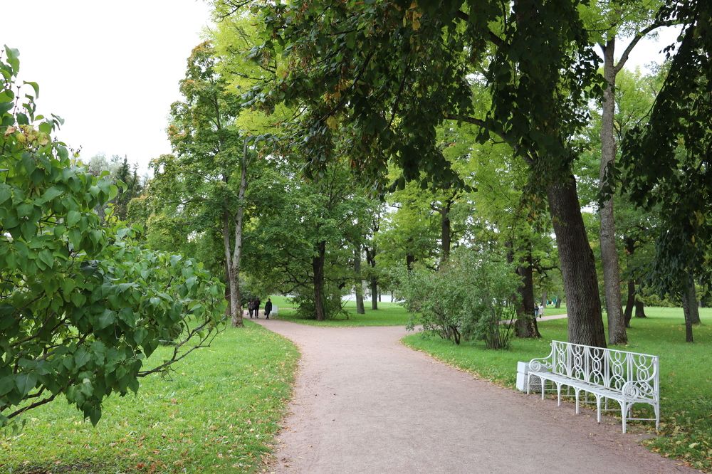 Photograph by Виктор Полуэктов