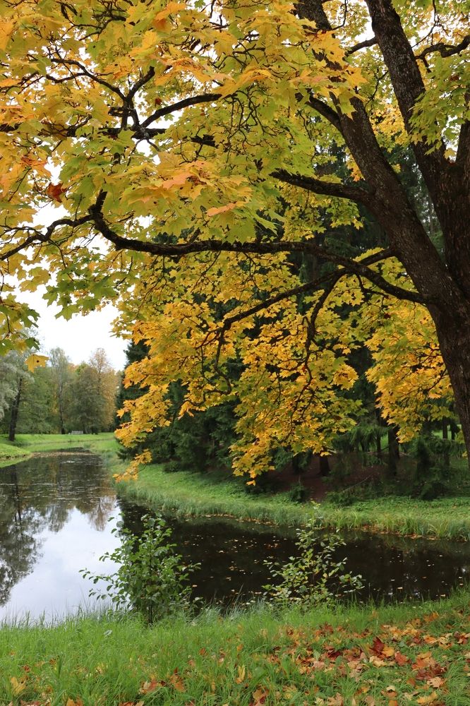 Photograph by Виктор Полуэктов