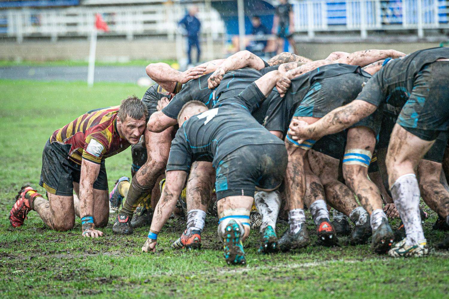 Регби-15, один против всех Регби-15, один против всех