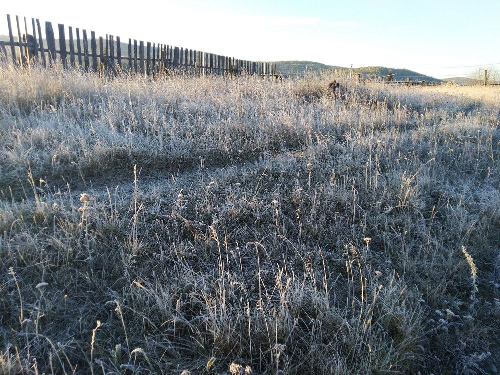 Морозное утро