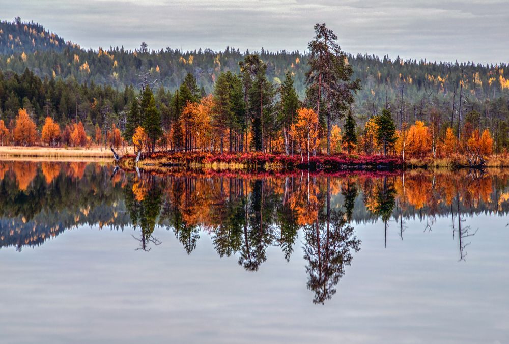 Photograph by Валентин Миляев