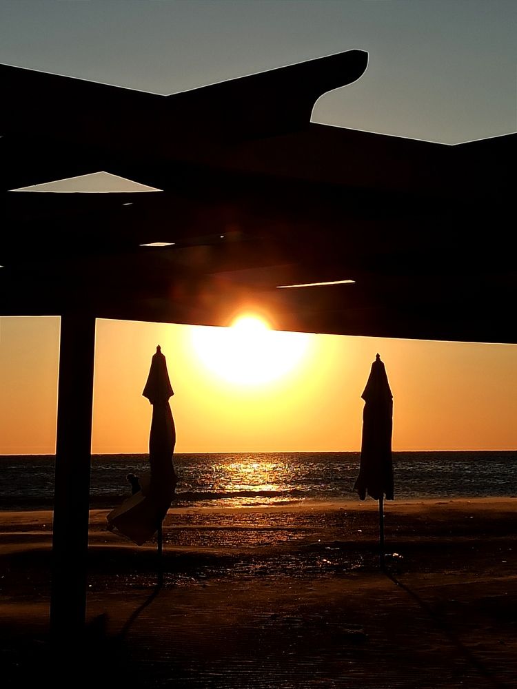 Photograph by Людмила Протасова