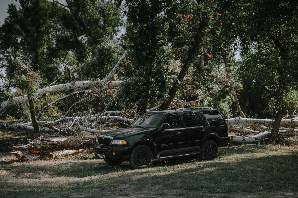 Photograph by Neiman Miho