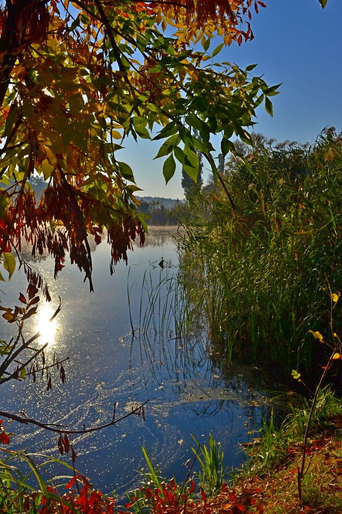 Photograph by Валерий Хинаки