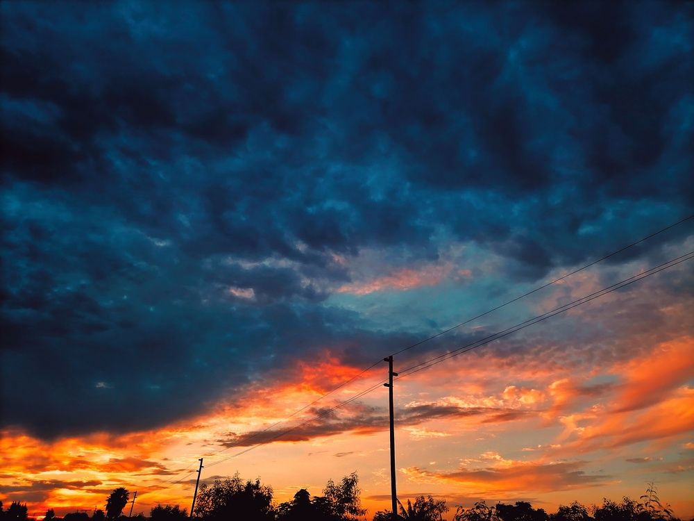Photo #6544027