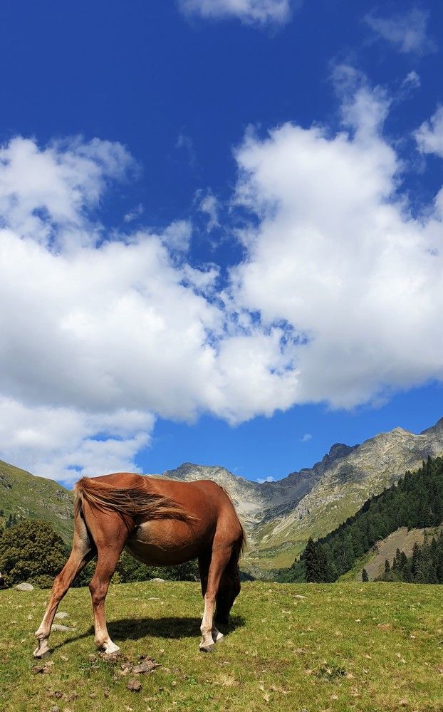 Photograph by Алёна Губинская