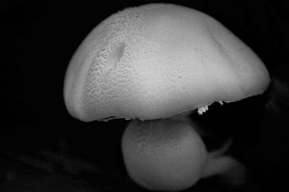Photograph by Светлана Минаева