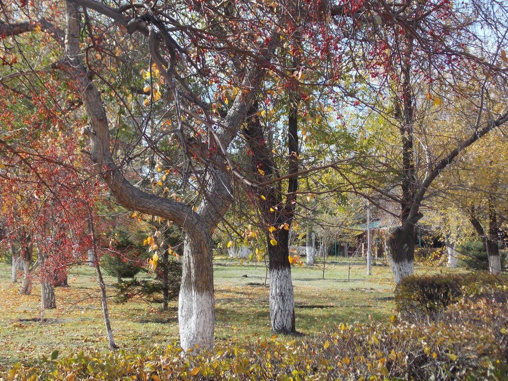 Разноцветное настроение!